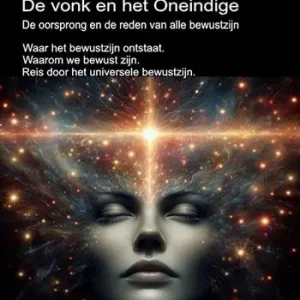 Affare De vonk en het Oneindige. De oorsprong en de reden van alle bewustzijn. Waar het bewustzijn ontstaat. Waarom we bewust zijn. Reis door het universele bewustzijn.
