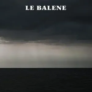 Le balene Scelto Dai Clienti