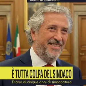È tutta colpa del sindaco. Diario di cinque anni di sindacatura Compra Online