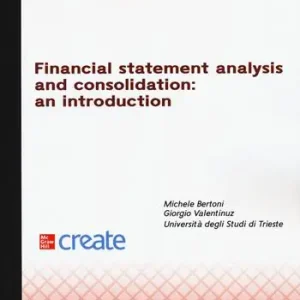 Ultime Pezzi Financial statement analysis and consolidation...