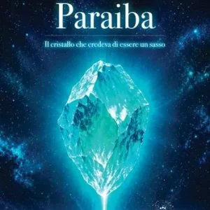 Occasione Imperdibile Paraiba. Il cristallo che credeva di essere un sasso
