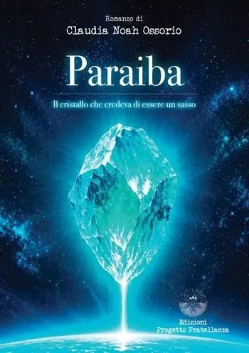 Occasione Imperdibile Paraiba. Il cristallo che credeva di essere un sasso