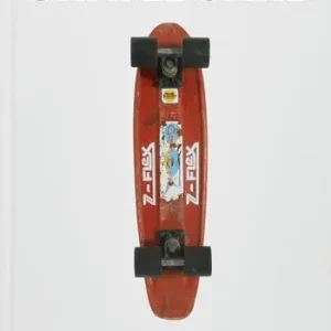 Skateboard. Ediz. a colori Promozione