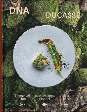 Dna ducasse Saldi