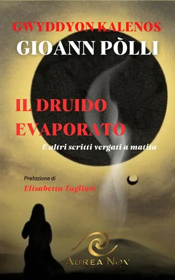 Promo Stagionale Il Druido evaporato. E altri scritti vergati a matita
