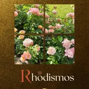 Rhodismos Soddisfatti O Rimborsati
