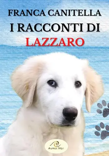 Compra Oggi Stesso I racconti di Lazzaro