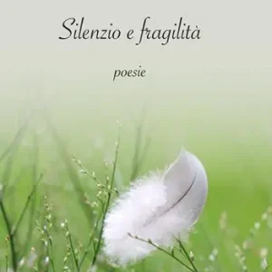 Silenzio e fragilità Vendita Finale