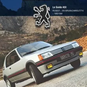 Compra Oggi Stesso Peugeot 205