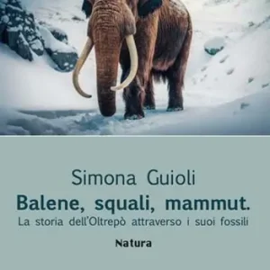 Balene, squali, mammut. La storia dell‘Oltrepò attraverso i suoi fossili Subito Disponibile