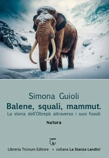 Balene, squali, mammut. La storia dell‘Oltrepò attraverso i suoi fossili Subito Disponibile