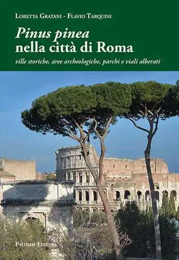 Compra Adesso «Pinus pinea» nella città di Roma. Ville storiche, aree archeologiche, parchi e viali alberati