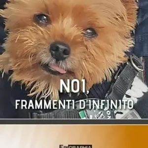Ordina Subito Noi, frammenti d‘infinito