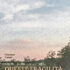 Queste fragilità Spedizione Espresso