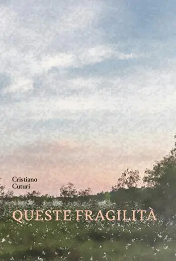 Queste fragilità Spedizione Espresso