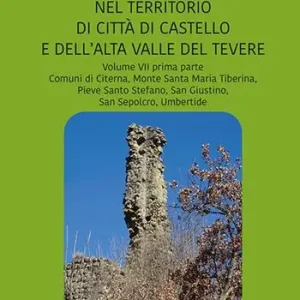 Perduti nel tempo. Castelli in rovina nel territorio di Città di Castello e dell’Alta Valle del Tevere. Comuni di Citerna, Monte Santa Maria Tiberina, Pieve Santo Stefano, San Giustino, San Sepolcro, Umbertide. Vol. 7/1 Direttamente Dal Produttore