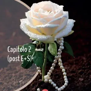 Più Venduto Capitolo 2 (post E+S)