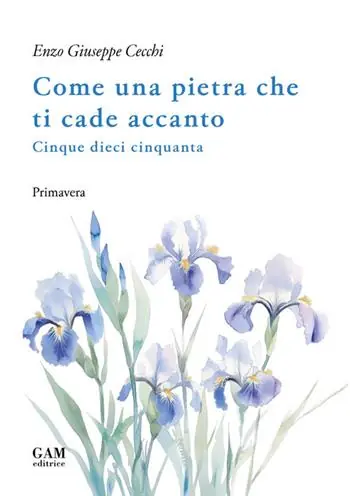 Non Perdere Come una pietra che ti cade accanto. Cinque dieci cinquanta. Primavera