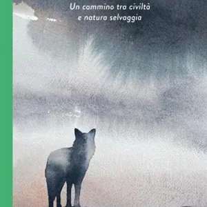 Il lupo solitario. Un cammino tra civiltà e natura selvaggia Prezzo Ridotto