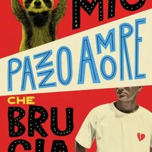 Compra Online Il mio pazzo amore che brucia