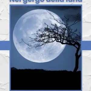 Prezzo Ridotto Nel gergo della luna