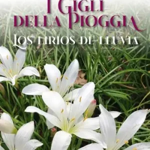 I gigli della pioggia-Los lirios de lluvia. Ediz. bilingue Prezzo Scontato