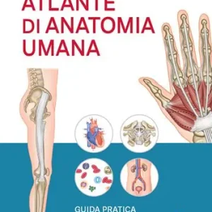 Economico Atlante di anatomia umana. Guida pratica illustrata. Ediz. a colori