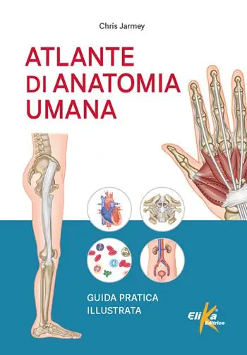 Economico Atlante di anatomia umana. Guida pratica illustrata. Ediz. a colori