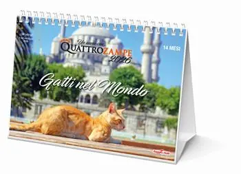 Gatti nel mondo. Calendario da tavolo 2026. 14 mesi Acquista Ora
