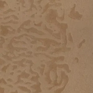 A Buon Prezzo La montagna che vide l‘elefante. Ediz. italiana e inglese