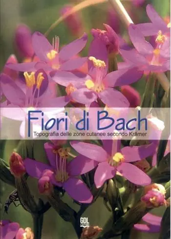 Bestseller Fiori di Bach. Topografia delle zone cutanee secondo Krämer