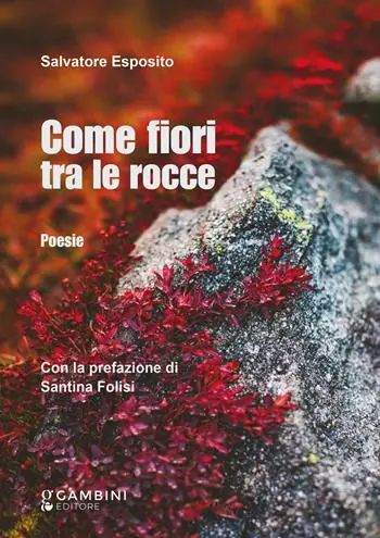 Come fiori tra le rocce Spedito Oggi