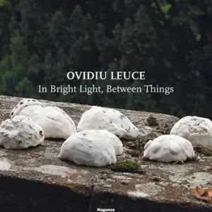 Ultime Pezzi Ovidiu Leuce. In bright light, between things. Ediz. italiana e inglese