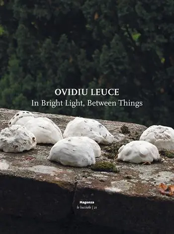 Ultime Pezzi Ovidiu Leuce. In bright light, between things. Ediz. italiana e inglese