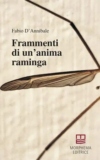 Frammenti di un‘anima raminga Professionale