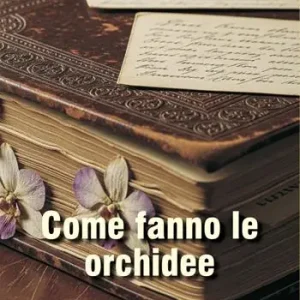 Come fanno le orchidee Prezzo Scontato