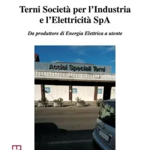 Terni Società per l‘Industria e l‘Elettricità SpA. Da produttore di energia elettrica a utente Sconto