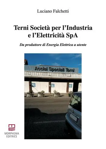 Terni Società per l‘Industria e l‘Elettricità SpA. Da produttore di energia elettrica a utente Sconto