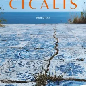 Cicalis Offerta Lampo