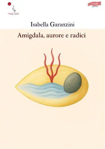 Consegna Rapida Amigdala, aurore e radici