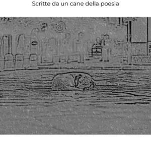 Promozione Esclusiva Trecentonovantasette poesie da cani. Scritte da un cane della poesia