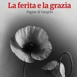 La ferita e la grazia. Pagine di Vangelo Subito Disponibile