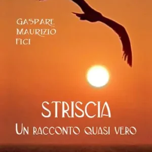 Vendita Finale Striscia. Un racconto quasi vero. Ediz. illustrata