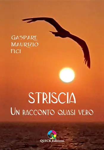 Vendita Finale Striscia. Un racconto quasi vero. Ediz. illustrata