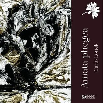 Nuovo Arrivo Amata phegea