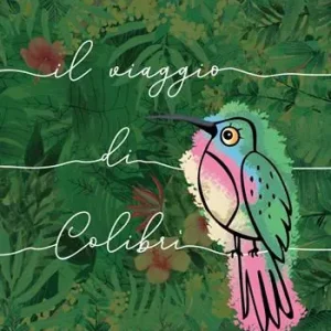 Economico Il viaggio di Colibrì. Ediz. illustrata