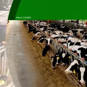 Unifeed oggi teoria e pratica del piatto unico Scelto Dai Clienti