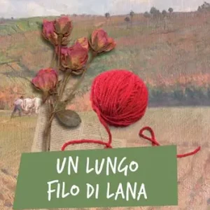 Consegna Rapida Un lungo filo di lana