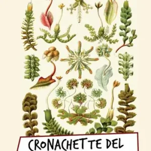 Cronachette del mondo vegetale Soddisfatti O Rimborsati
