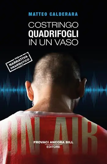 Costringo quadrifogli in un vaso Popolare